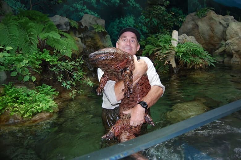 11. Chinese Giant Salamander
