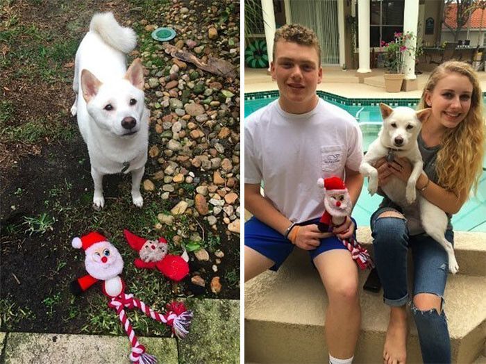 So when her owners heard about Santa in the mall, they HAD to take Kya to see him