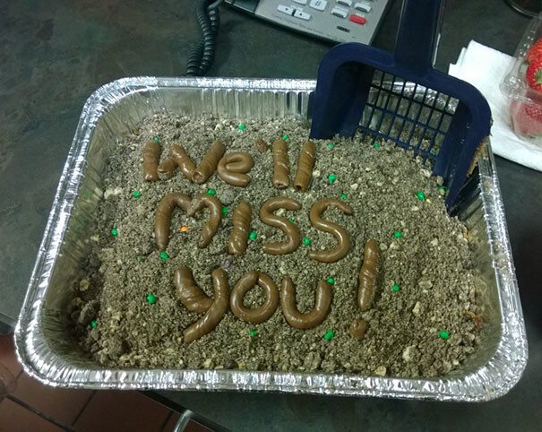 #4 The Kind Of Farewell Cake You Get For Your Last Day At A Vet Office