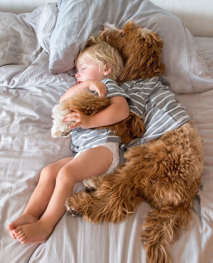 Foster child Buddy and his friend Reagan the adorable labradoodle have already taken over Instagram*