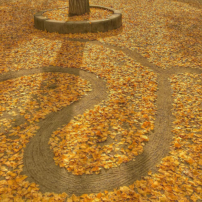 Japanese Are Going Crazy About The Fallen Leaves, Turns Them Into Art