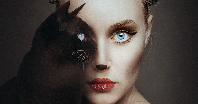 Artist Becomes One With Animals By Replacing Her Eye With Theirs