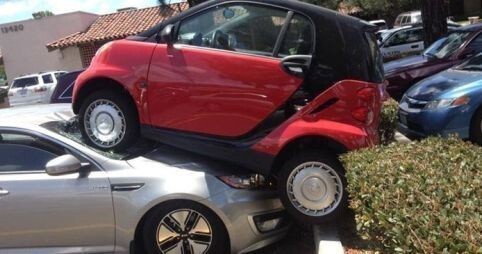 38 People Who Had A Worse Day Than You Did