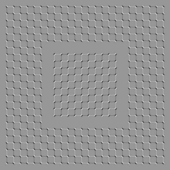 12. If you move your eyes across this gray image, the middle of it will wiggle.