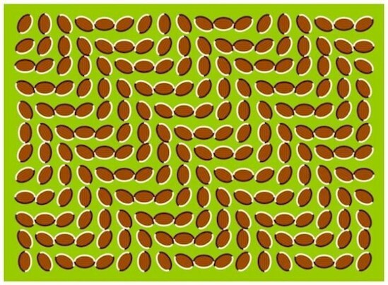 2. Just move your eyes and watch those almonds dance! This image is NOT actually moving.