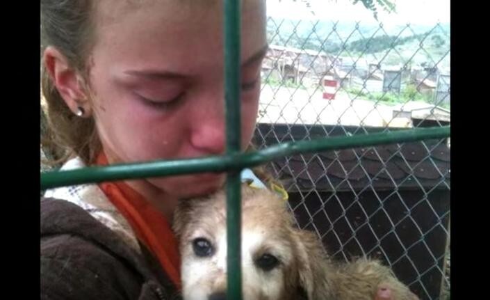 Most individual cages at the shelter held 20 dogs or more, and even when Mary brought multiple bags of dog food with her, she was only able to feed a few cages worth of dogs at most. 