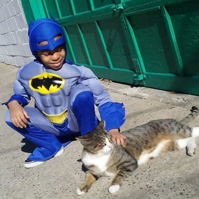 One cat, Bug, would just not cooperate until Catman arrived on the scene. “Bug came right over to Shon, rubbed against his legs and allowed him to pet him”