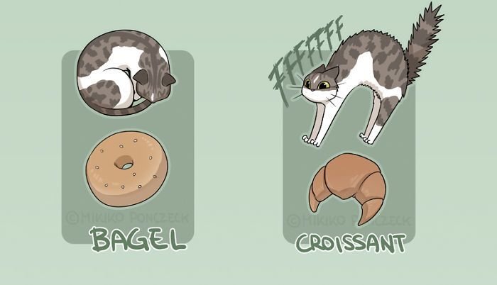 Artist Proves Cats Are More Bread Than You’d Think