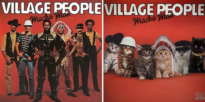 Someone Is Replacing Musicians With Cats In Famous Album Covers, And Result Is Better Than Original