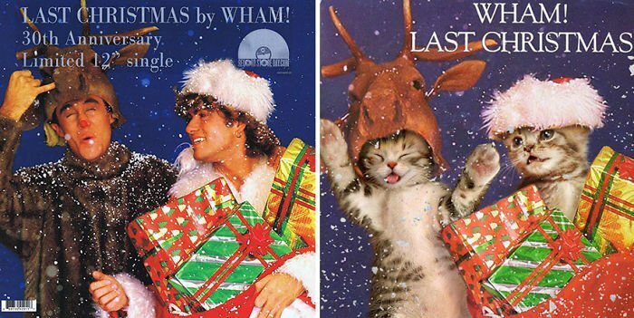 Someone Is Replacing Musicians With Cats In Famous Album Covers, And Result Is Better Than Original