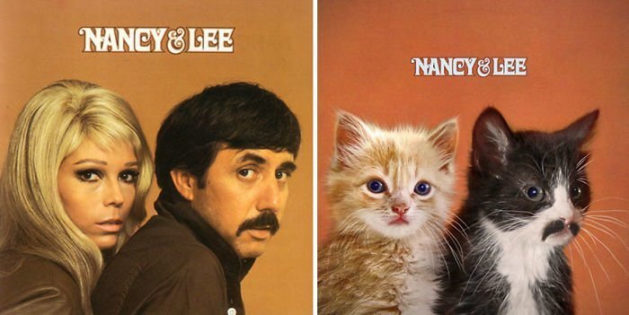 Someone Is Replacing Musicians With Cats In Famous Album Covers, And Result Is Better Than Original