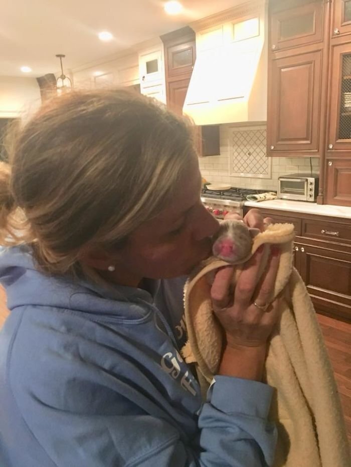 Animal rescuer Courtney Bellew saw her need for urgent care, and placed her with nurse Marie DeMarco