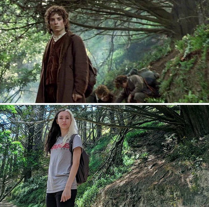 #2 Leaving The Shire In Hobbit's Hideaway, Wellington