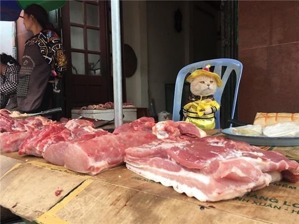 Sometimes, Dog tries selling other goods, like meat…