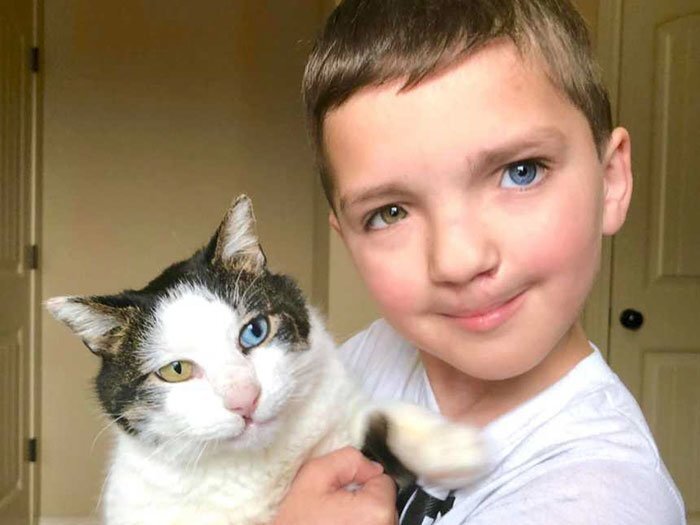 Nothing about this friendship between 7-year-old Madden and a rescue cat Moon is ordinary