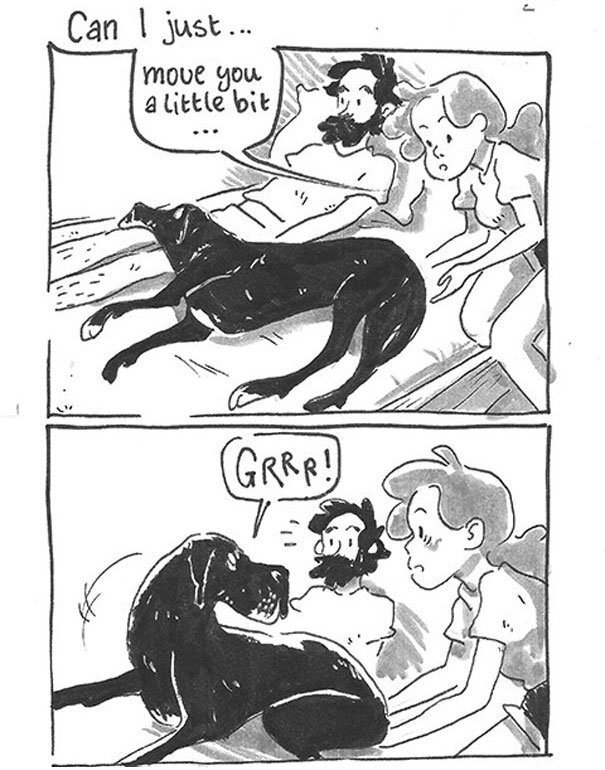 9 Adorable “Awkward Moments” Every Couple With A Dog Will Relate To
