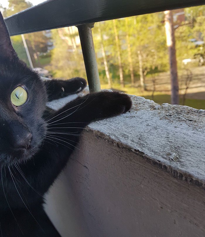 However, he really enjoys his time on the balcony