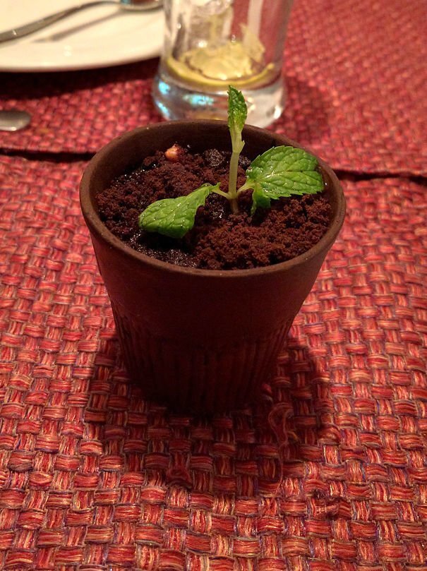 #1 This Chocolate Mud Pie Is Served Like An Actual Potted Plant