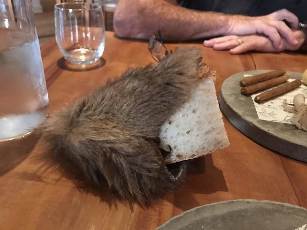 #23 My Bread Served Inside Roadkill