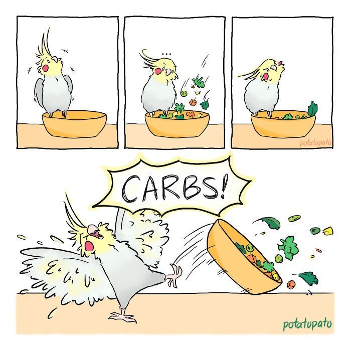 Artist Draws Comics About Her Pet Bird And They’re Too Positive