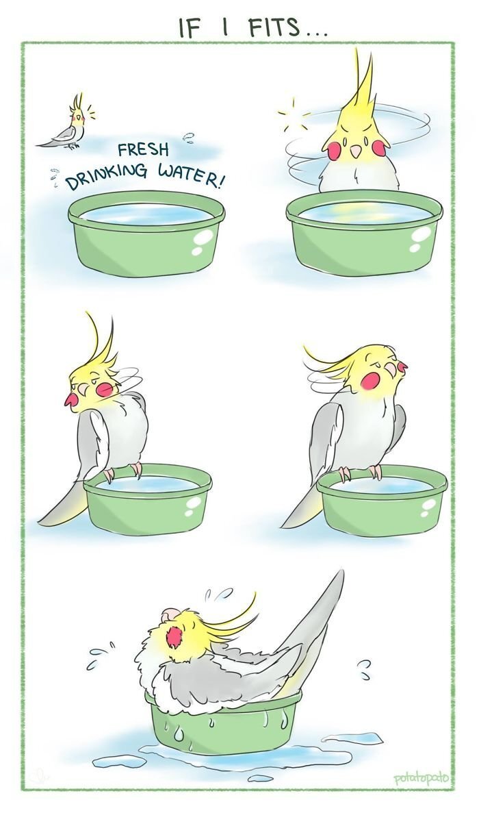 Artist Draws Comics About Her Pet Bird And They’re Too Positive