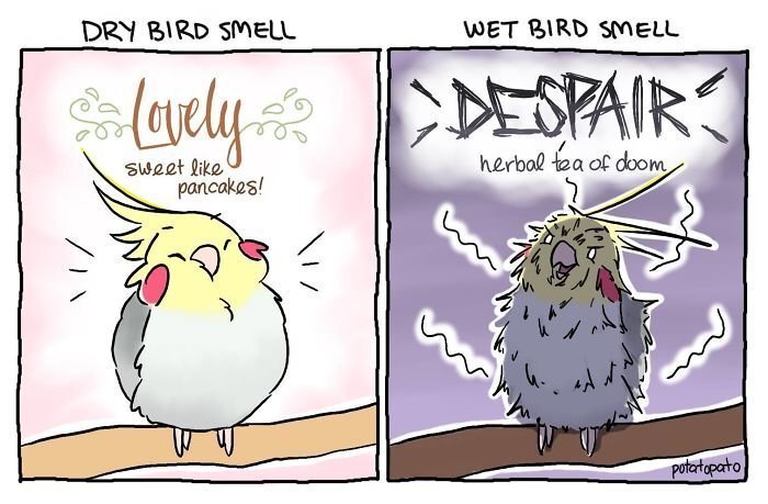 Artist Draws Comics About Her Pet Bird And They’re Too Positive