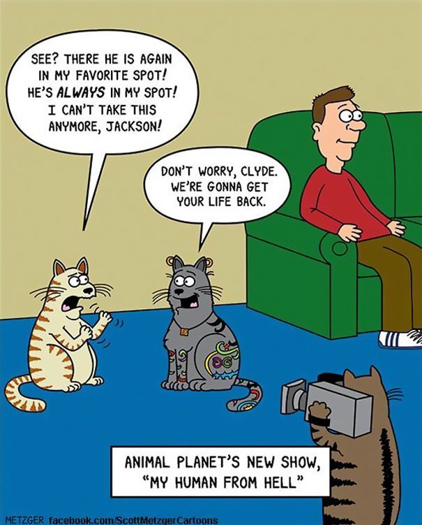 This Man Has Been Creating Cat Cartoons For Over 20 Years, And Here Are 40 Of The Best Ones
