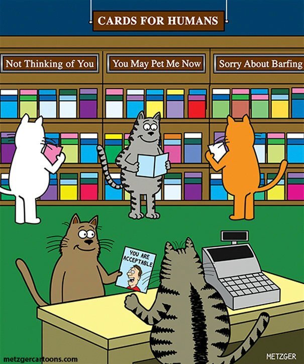 This Man Has Been Creating Cat Cartoons For Over 20 Years, And Here Are 40 Of The Best Ones