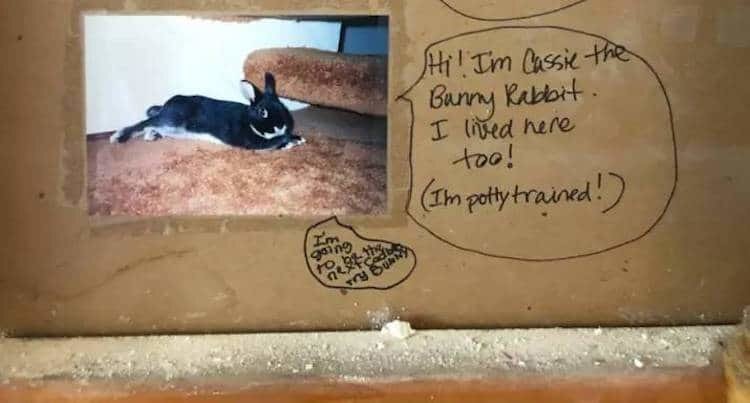 It even included a little note from their pet bunny, Cassie.