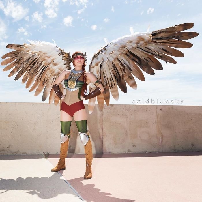 #19 Hawkgirl, Dc