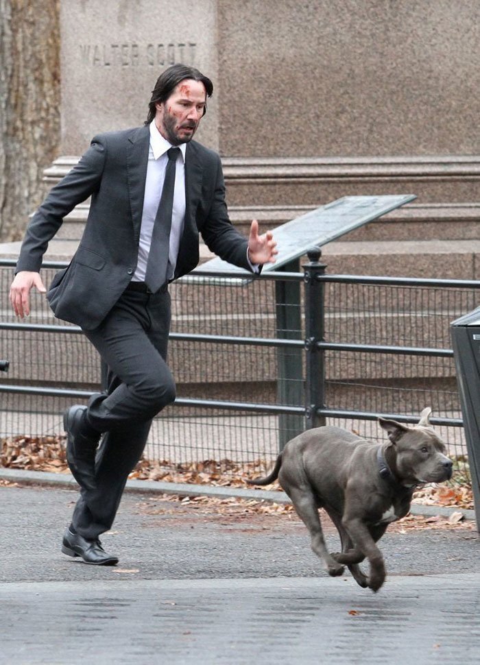 Keanu Reeves may be known as a badass in the John Wick movie