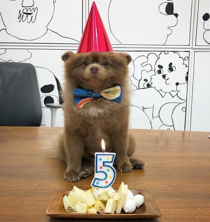 He recently turned 5 years old and celebrated his birthday in style