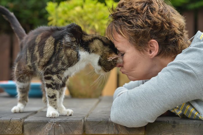“Boo recognised her mum straight away and within minutes the two were thoroughly enjoying plenty of face rubs, cuddles and meows”