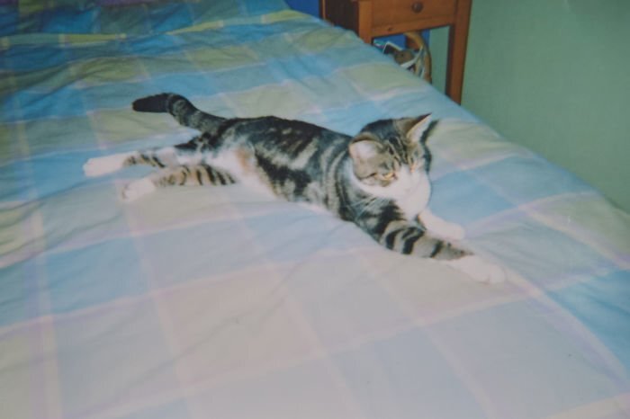 This is Boo, 4-years-old when she went missing back in 2005