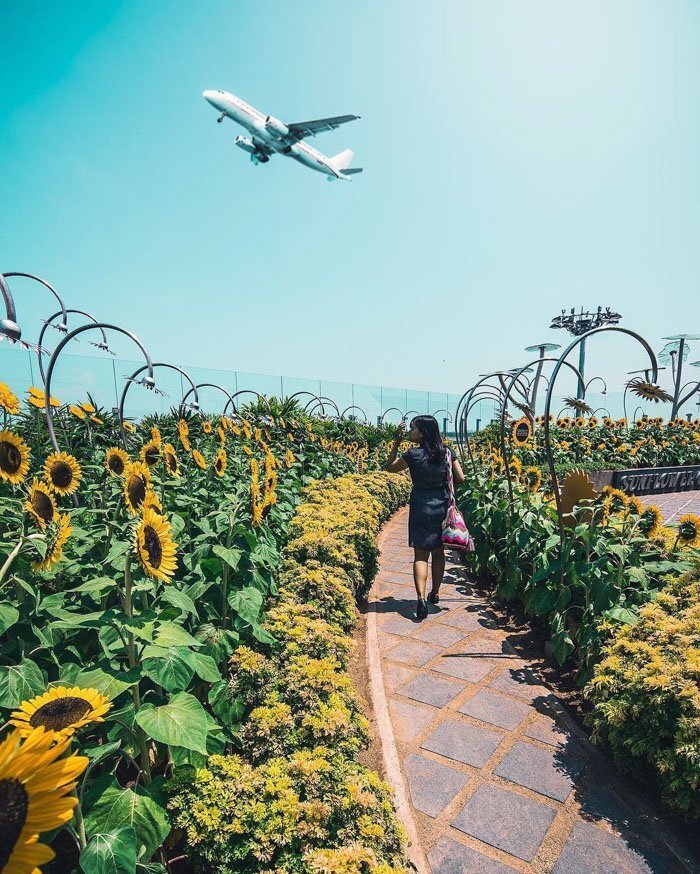 This airport is filled with gardens that include sunflowers, butterflies, orchids, cacti and a Koi pond
