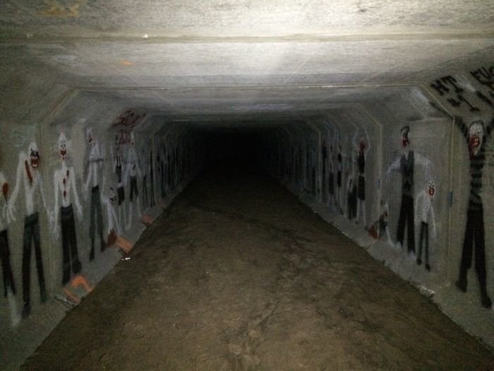 #15 Found Some Friends In A Mile-Long Tunnel That Travels Beneath My Apartment Building