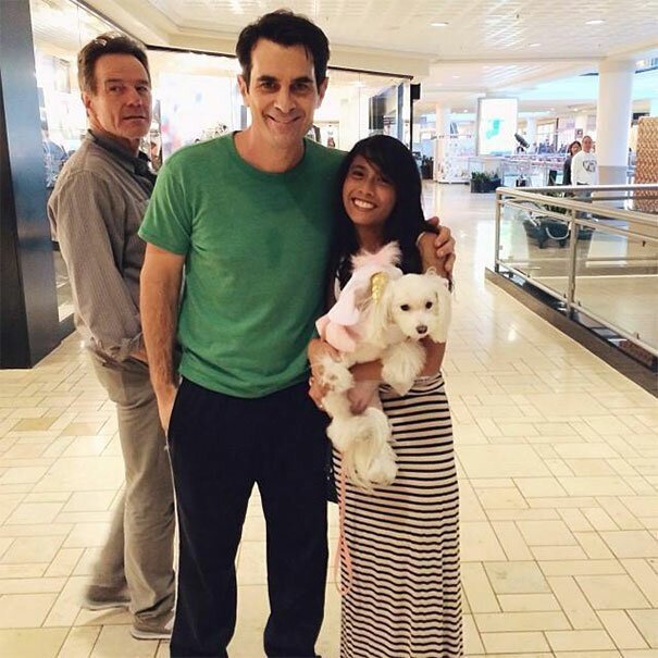 #7 Fan Takes Photo With Modern Family's Ty Burrell, Epic Photobomb By Bryan Cranston