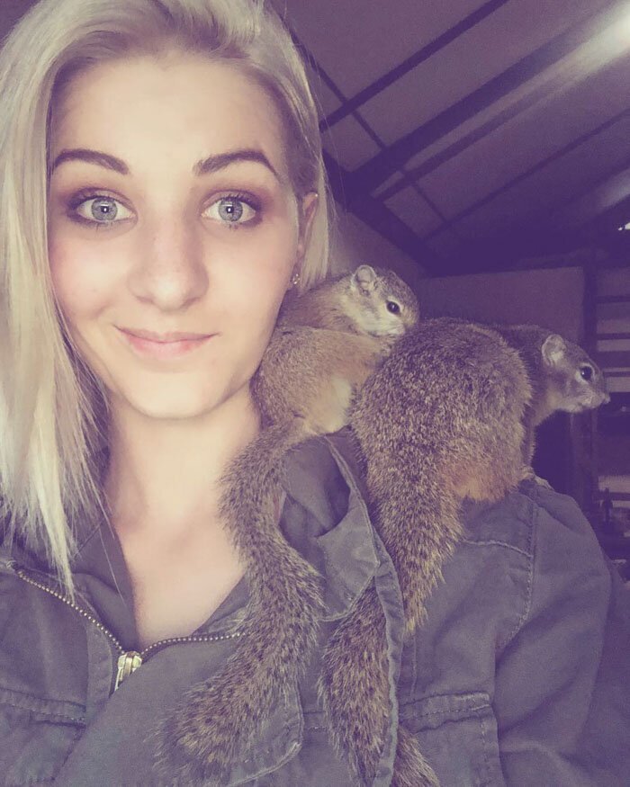 This Wild Squirrel Made A Nest For Her Baby In Her Rescuer’s Drawer And It’s Adorable