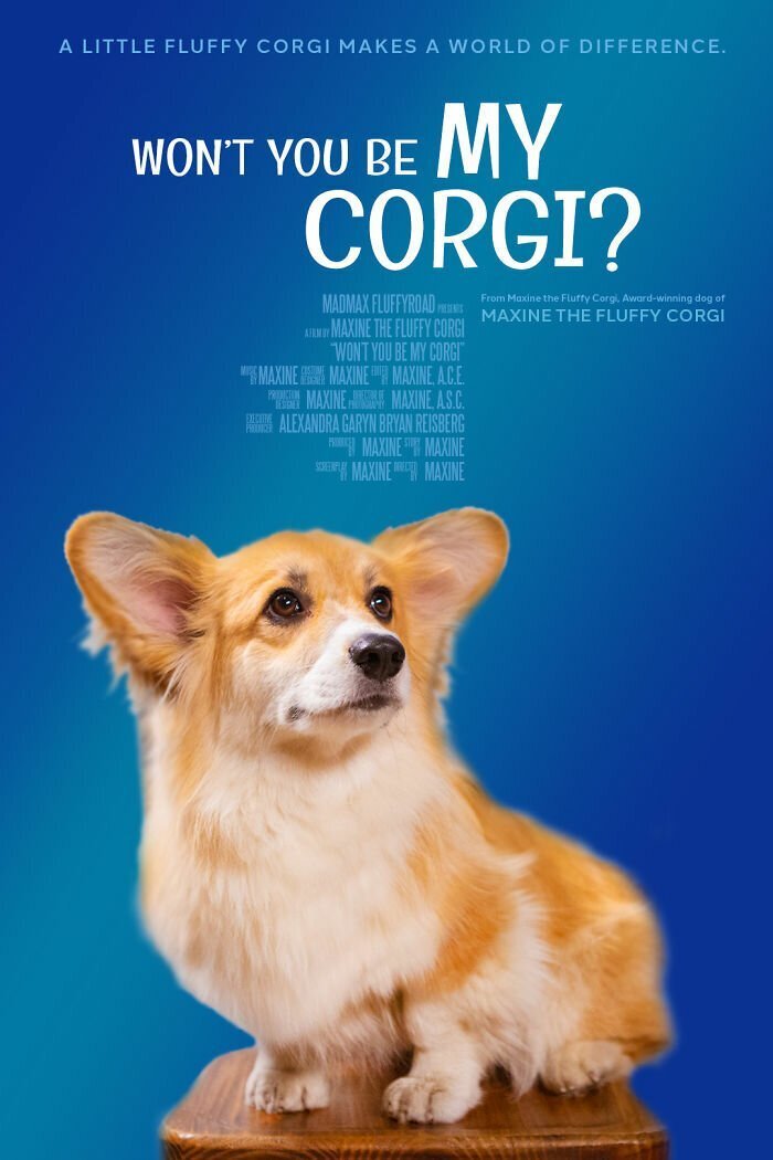 Won’t You Be My Corgi?