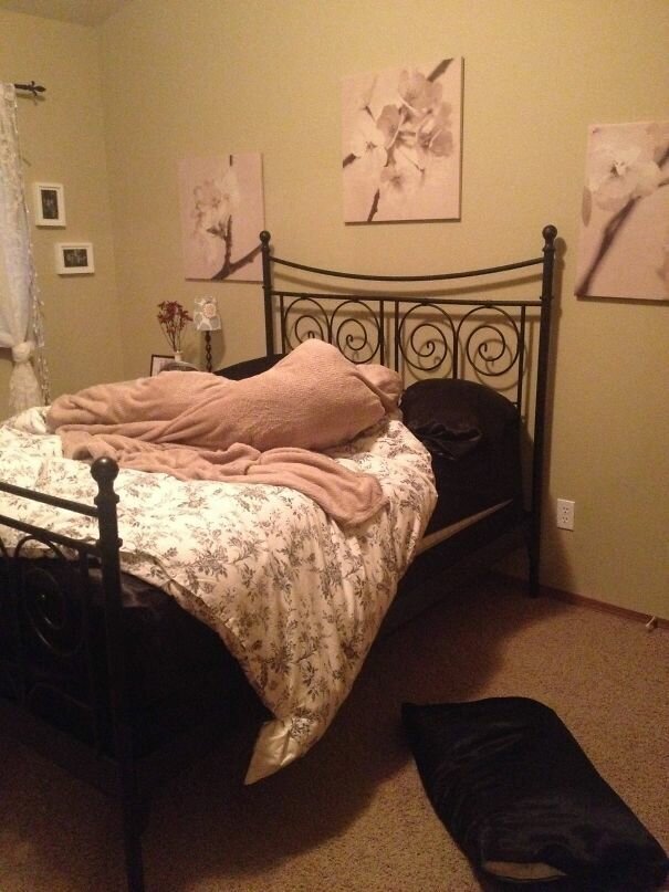 #6 Walked Into My Room And Saw That My Pillows And Blanket Had Tangled Up Like This. I Almost Had A Heart Attack