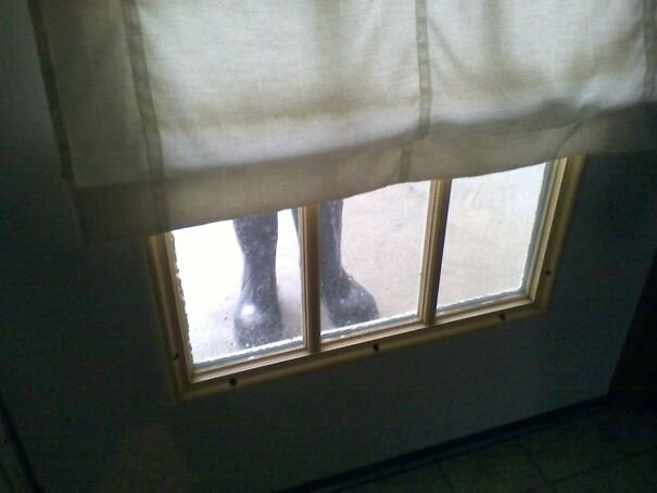 #4 I Left My Boots At The Back Door. When I Was Walking Back Outside I Nearly Had A Heart Attack