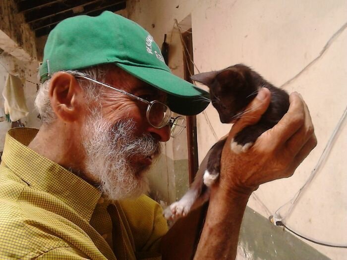 This Family Sanctuary Is Giving Abandoned Cats A Loving Home