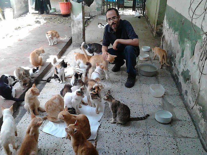 This Family Sanctuary Is Giving Abandoned Cats A Loving Home