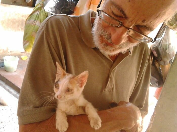 This Family Sanctuary Is Giving Abandoned Cats A Loving Home