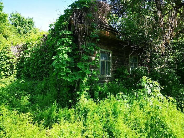 #10 Overgrown House In Zalissya (Village Inside Chernobyl Exclusion Zone)