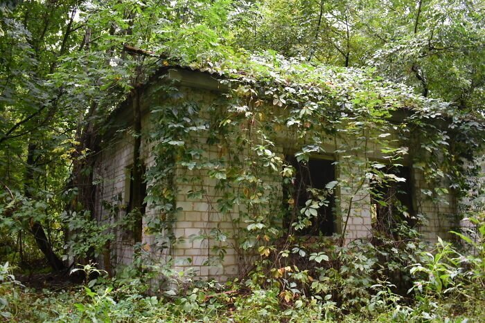 #26 Overgrown Building