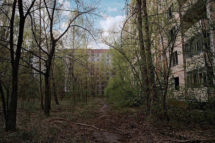 #20 Pripyat Is No Longer The Ghost Town What It Was. Now It Is Consumed By The Forest And Plants. Nature Persistently Takes It Back