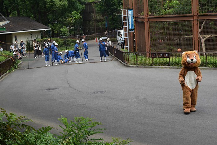 This Japanese Zoo Decided To Perform A Lion Escape