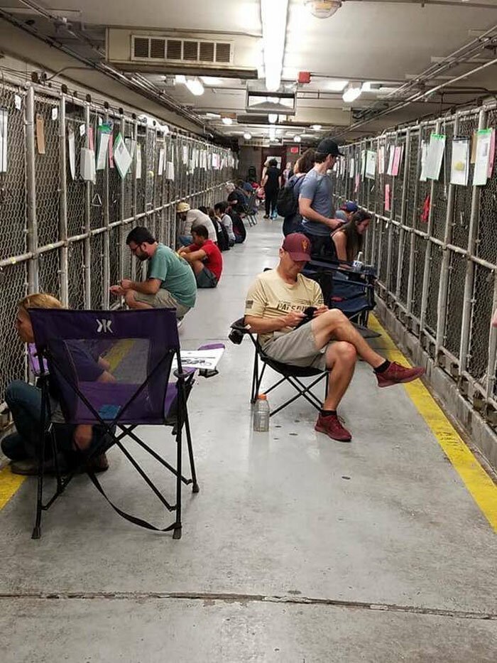 “Kindness Is Patriotic:” People Are Skipping July 4th Fireworks To Spend Time With Shelter Dogs