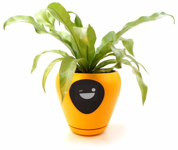 ‘Lua’ smart planter will turn any plant of yours into a life-like pet